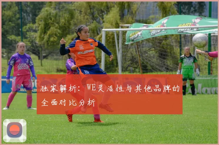 独家解析：WE灵活性与其他品牌的全面对比分析