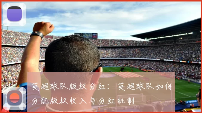 英超球队版权分红：英超球队如何分配版权收入与分红机制