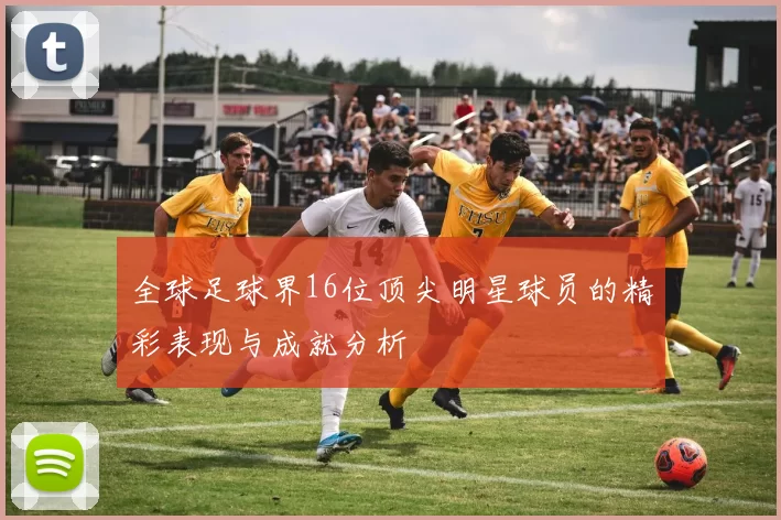 全球足球界16位顶尖明星球员的精彩表现与成就分析
