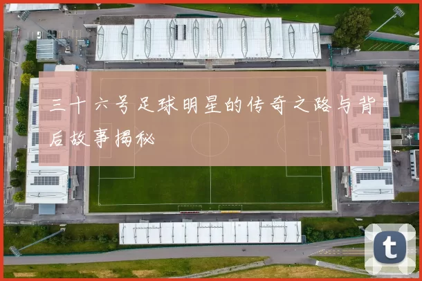 三十六号足球明星的传奇之路与背后故事揭秘