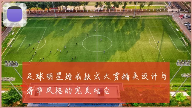 足球明星婚戒款式大赏精美设计与奢华风格的完美结合