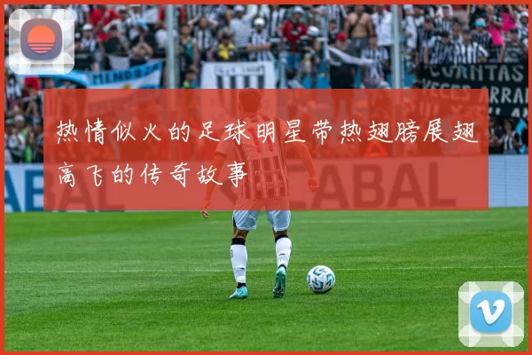 热情似火的足球明星带热翅膀展翅高飞的传奇故事