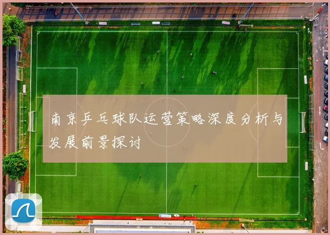 南京乒乓球队运营策略深度分析与发展前景探讨