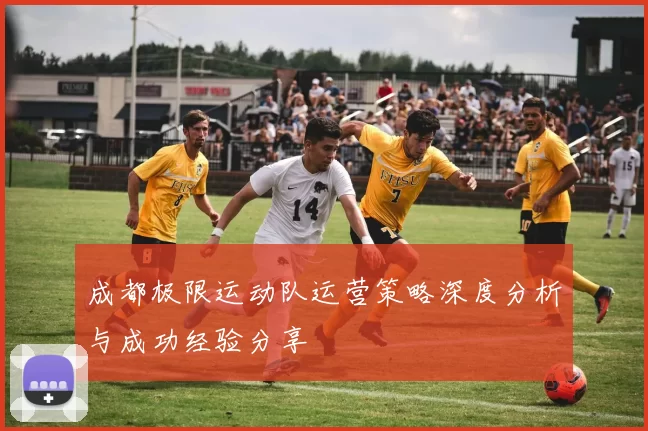 成都极限运动队运营策略深度分析与成功经验分享