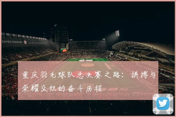 重庆羽毛球队总决赛之路：拼搏与荣耀交织的奋斗历程