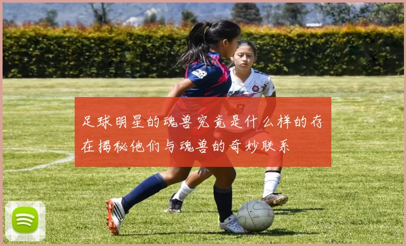 足球明星的魂兽究竟是什么样的存在揭秘他们与魂兽的奇妙联系