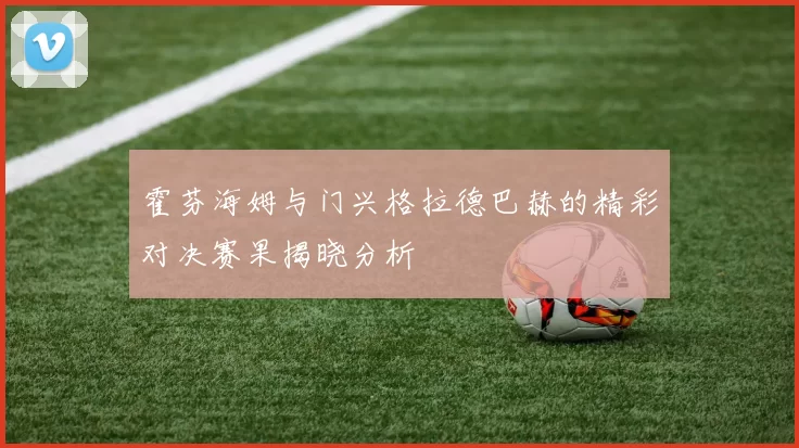 霍芬海姆与门兴格拉德巴赫的精彩对决赛果揭晓分析
