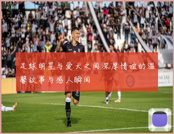 足球明星与爱犬之间深厚情谊的温馨故事与感人瞬间
